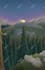 do young adult fiction fantasy book illustration