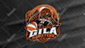 design a custom sports logo and brand identity