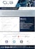 design a professional capability statement