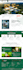 design and develop your wordpress cms and blog website for business