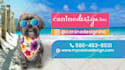 create animated social media GIF ads, banner, stories, cover