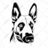 draw amazing line art for your pet