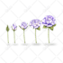 draw flowers for wall art, patterns, prints and textile