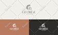design 3 business logo, brand identity and visual identity
