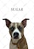 draw your dog or pet into an amazing cartoon