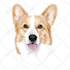 draw minimalist realistic pet vector art