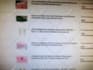 do amazon to ebay dropshipping top listings