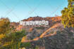 design hollywood sign banner