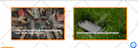 create a wordpress landing page or responsive landing page