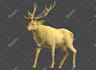 do 3d modelling ready to use in ar VR