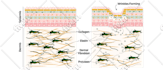 label design, supplement label, protein box, bottle label
