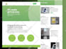 build wordpress website development, business website, wordpress website design