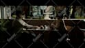 vfx, screen replacement, chroma keying, rotoscoping, cleanup