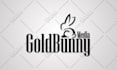 design a modern and minimalist logo with branding