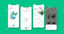 design user centered saas, dashboard or admin panel