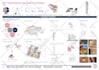 design architecture presentation boards, portfolios, and posters