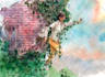 create illustration for book and novel