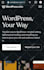 fix wordpress issues, errors and bugs