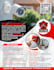 design professional lawn care and handyman service flyer