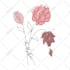 create elegant custom one line art illustrations