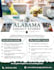 design a professional flyer or brochure for your business