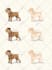 create adorable animal illustrations