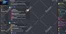setup a professional discord server with bots and security