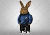 create animal illustration like the polo bear style