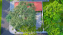 do landscape design, backyard design with 3d rendering as landscape architect
