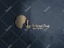 design professional 3d logo with copyrights in 24hrs