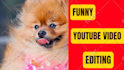 create a professional youtube video editing within 24 hours