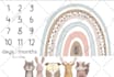 design adorable custom milestone blankets for babies