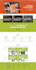 build wordpress ecommerce website, online store, woocommerce website