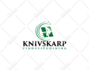 design 2 awesome logo in 24 hours with source files