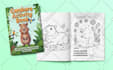 design custom low no content book cover or interior for amazon KDP