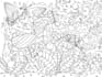draw complete illustrations, dynamic poses, any complexity of detailing