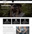 design modern wordpress landing page elementor or elementor landing page design