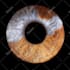 upscale and enhance your image with topaz gigapixel ai software