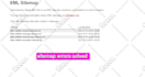 find and fix wordpress SEO errors, bug, issues or problems for google rankings