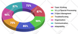 design professional infographic, flowchart, pie charts, and graph diagram