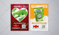 design a flyer, brochure, poster or leaflet for you