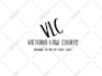 do a unique business logo design for you