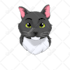 draw your pet portrait in a disney style cartoon illustration