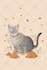 create a cute custom pet illustration in my style