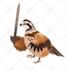 create an exotic animal or pet illustration for you