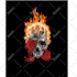 design skull, army,tactical logo