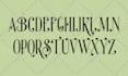 create custom font design and typography design or typeface
