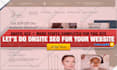 perform technical onsite SEO in your wordpress site
