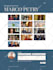 create a professional wordpress website for you