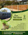 design captivating social media posts and ads designs